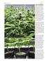 Page: - 60 | High Times