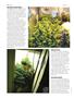 Page: - 68 | High Times