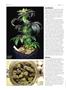 Page: - 70 | High Times