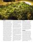 Page: - 74 | High Times