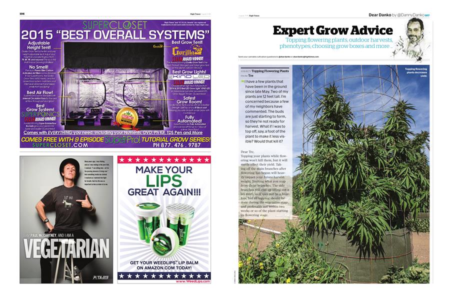 Expert Grow Advice