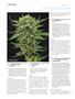 Page: - 108 | High Times