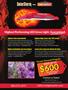 Page: - 123 | High Times