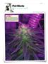 Page: - 136 | High Times