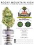 Page: - 41 | High Times
