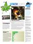 Page: - 6 | High Times