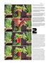 Page: - 70 | High Times