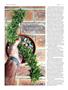 Page: - 72 | High Times