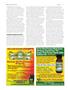 Page: - 88 | High Times