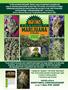 Page: - 93 | High Times