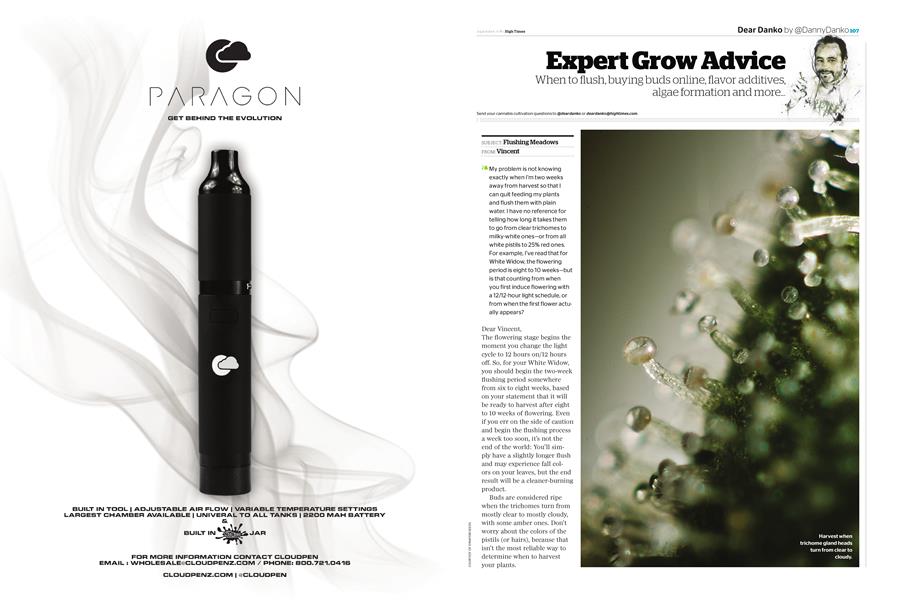 Expert Grow Advice