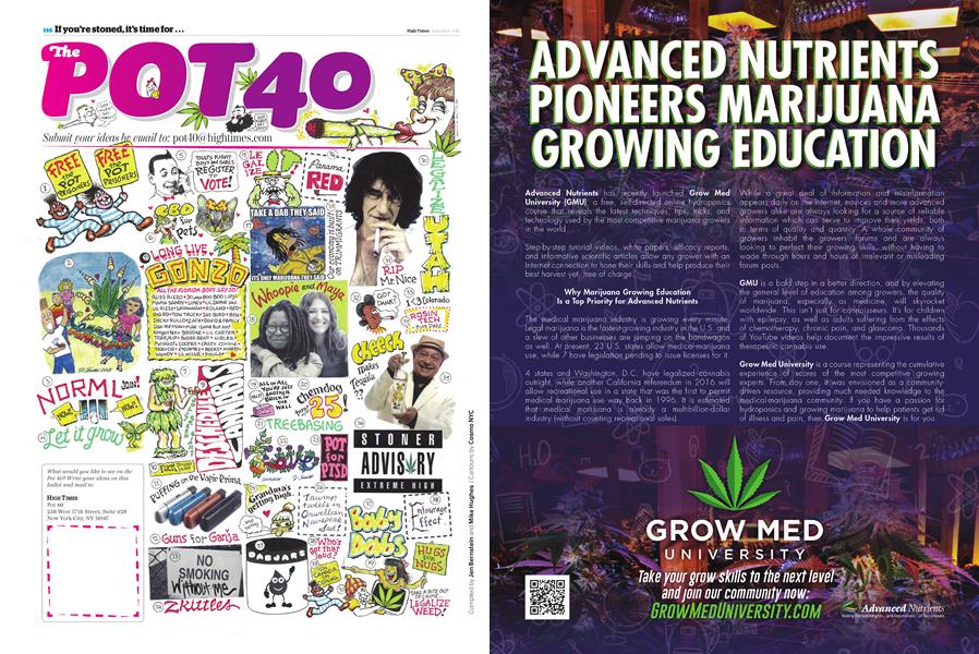 The POT 40