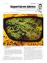 Page: - 115 | High Times