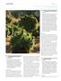 Page: - 116 | High Times