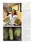 Page: - 70 | High Times