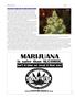 Page: - 84 | High Times