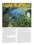 Page: - 89 | High Times