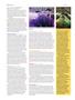 Page: - 90 | High Times