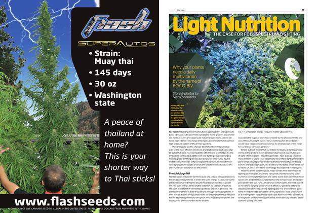 Light Nutrition