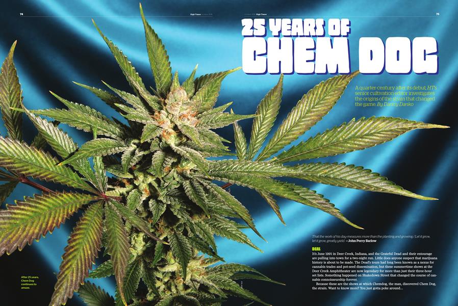 25 YEARS OF CHEM DOG
