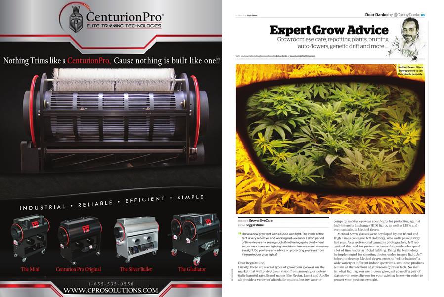 Expert Grow Advice