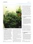 Page: - 116 | High Times