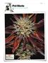Page: - 144 | High Times