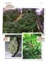 Page: - 146 | High Times