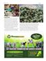 Page: - 84 | High Times