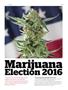 Page: - 97 | High Times
