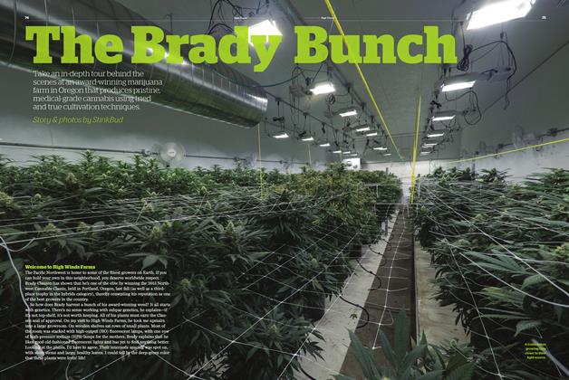 The Brady Bunch