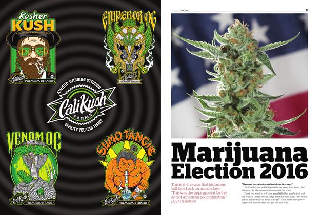 Marijuana Election 2016