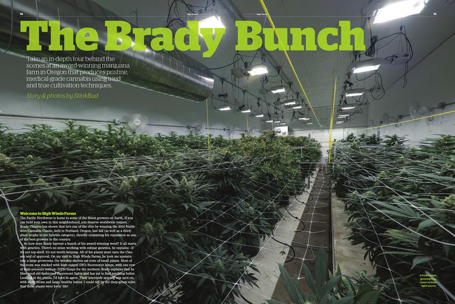 The Brady Bunch