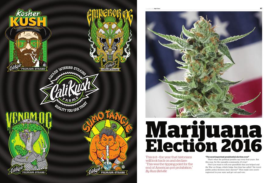 Marijuana Election 2016