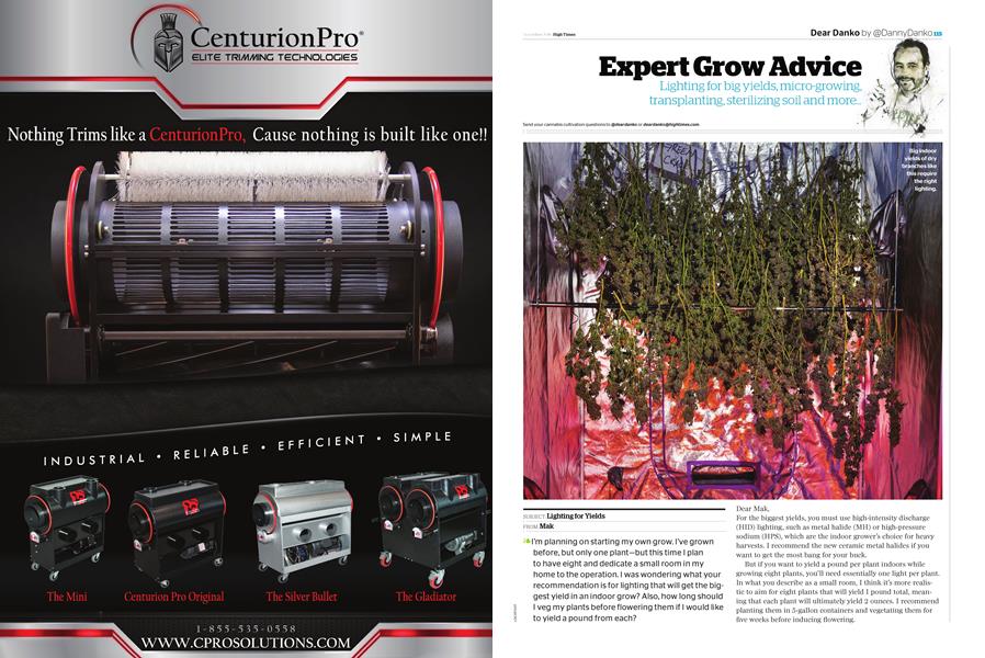 Expert Grow Advice