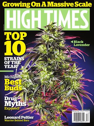 December 2016 | High Times