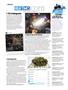 Page: - 10 | High Times