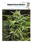 Page: - 115 | High Times