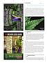 Page: - 118 | High Times