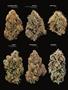 Page: - 20 | High Times