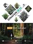 Page: - 49 | High Times