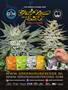 Page: - 58 | High Times