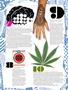 Page: - 72 | High Times