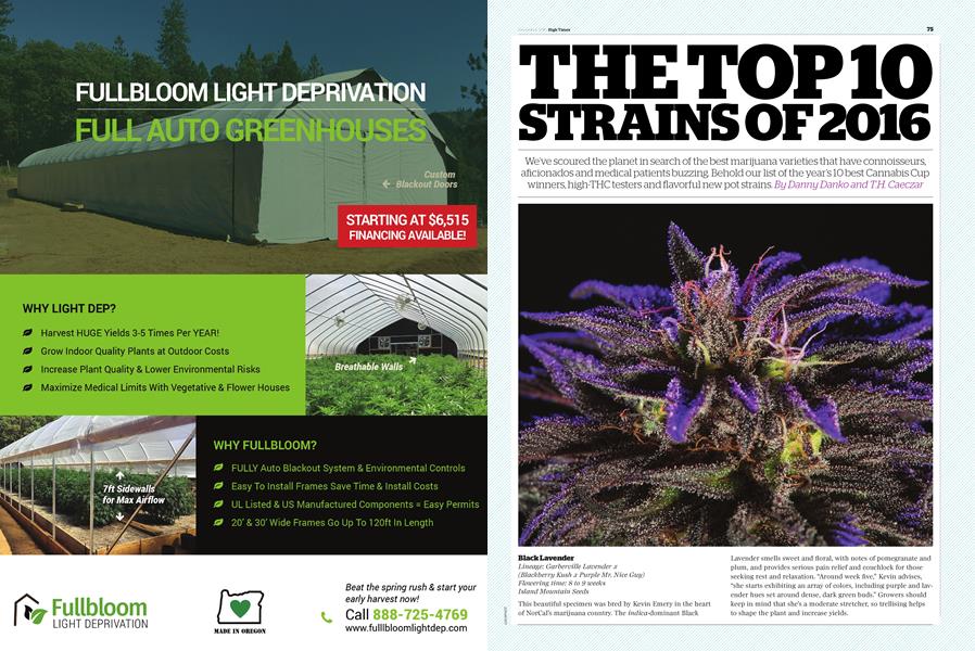 THE TOP 10 STRAINS OF 2016