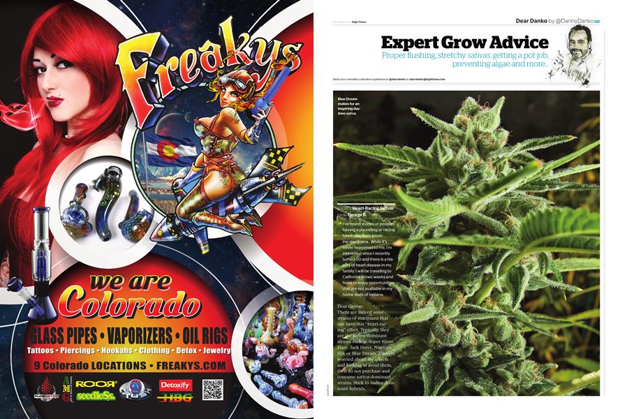 Expert Grow Advice