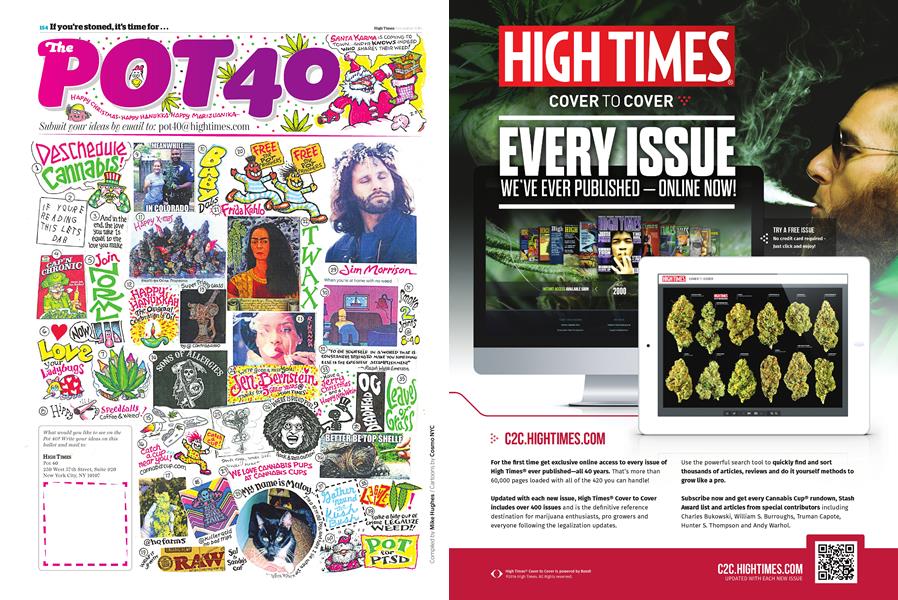 The POT 40