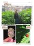 Page: - 146 | High Times
