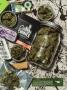 Page: - 17 | High Times