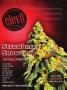Page: - 27 | High Times