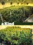 Page: - 77 | High Times